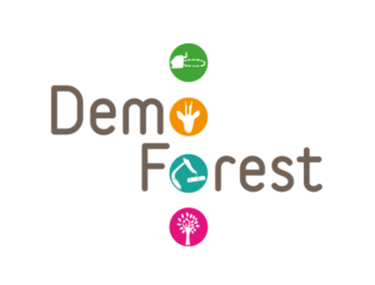 mfa-demoforest
