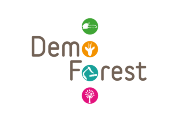 mfa-demoforest