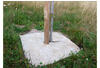 Dalles de paillages pour plantations