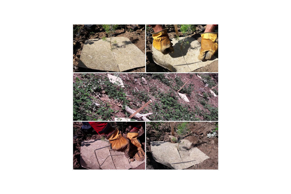 Dalles de paillages pour plantations