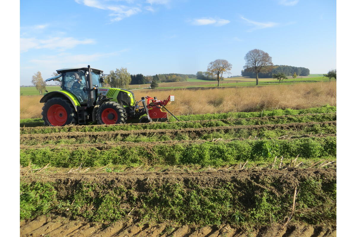 Broyeur pour asperges MPS Profi TEHNOS