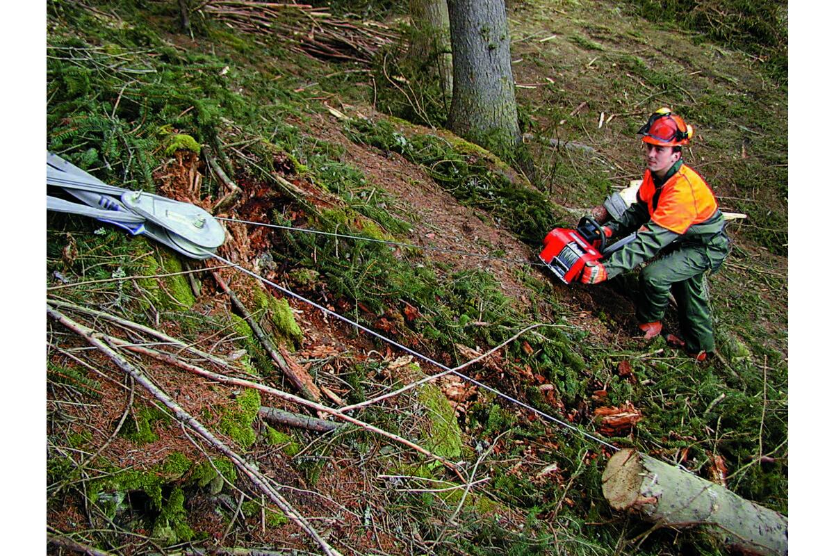 Treuil de traction pour gruminette