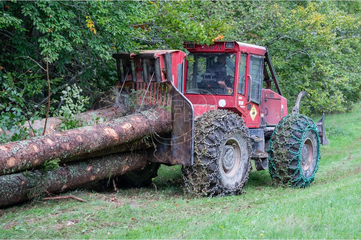 CHAINE FORESTIERE KRPAN